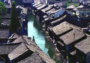 拯救可爱袋鼠